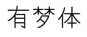 有梦体预览图片